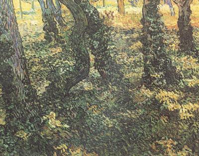 Vincent Van Gogh Tree Trunks with Ivy (nn04)